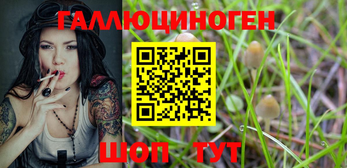 Большой Камень  наркота  Галлюциногенные грибы Psilocybine cubensis  Вход с VPN  Псилоцибиновые грибы GOLDEN TEACHER 